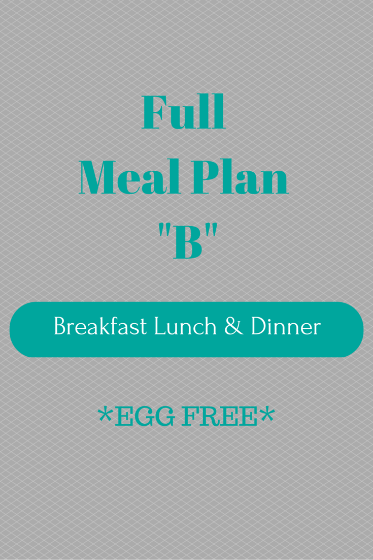 Full Meal Plan B (Egg Free) | Bariatric Food Coach